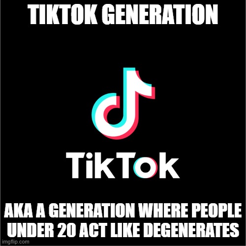 Basically summing up the TikTok Generation | TIKTOK GENERATION; AKA A GENERATION WHERE PEOPLE UNDER 20 ACT LIKE DEGENERATES | image tagged in tiktok logo | made w/ Imgflip meme maker