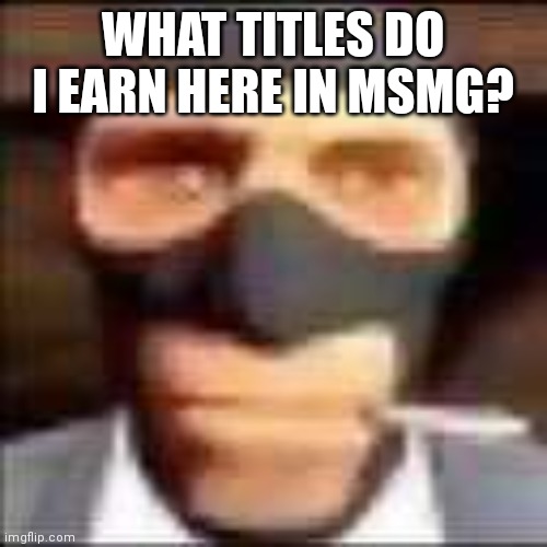 spi | WHAT TITLES DO I EARN HERE IN MSMG? | image tagged in spi | made w/ Imgflip meme maker