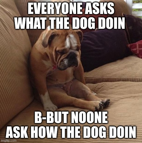 bulldogsad | EVERYONE ASKS WHAT THE DOG DOIN; B-BUT NOONE ASK HOW THE DOG DOIN | image tagged in bulldogsad | made w/ Imgflip meme maker