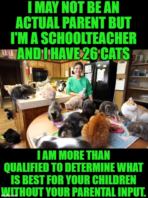 yep | I MAY NOT BE AN ACTUAL PARENT BUT I'M A SCHOOLTEACHER AND I HAVE 26 CATS; I AM MORE THAN QUALIFIED TO DETERMINE WHAT IS BEST FOR YOUR CHILDREN WITHOUT YOUR PARENTAL INPUT. | made w/ Imgflip meme maker