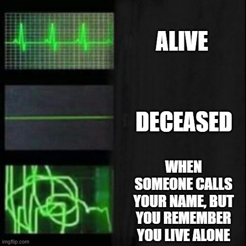 yeah | ALIVE; DECEASED; WHEN SOMEONE CALLS YOUR NAME, BUT YOU REMEMBER YOU LIVE ALONE | image tagged in leave it blank please | made w/ Imgflip meme maker