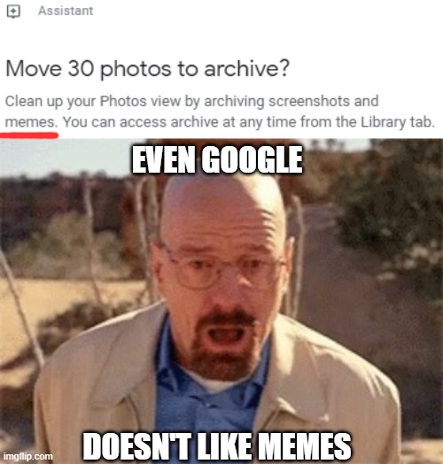 bro, google wants me to delete my memes | EVEN GOOGLE; DOESN'T LIKE MEMES | image tagged in walter white,google,photos | made w/ Imgflip meme maker