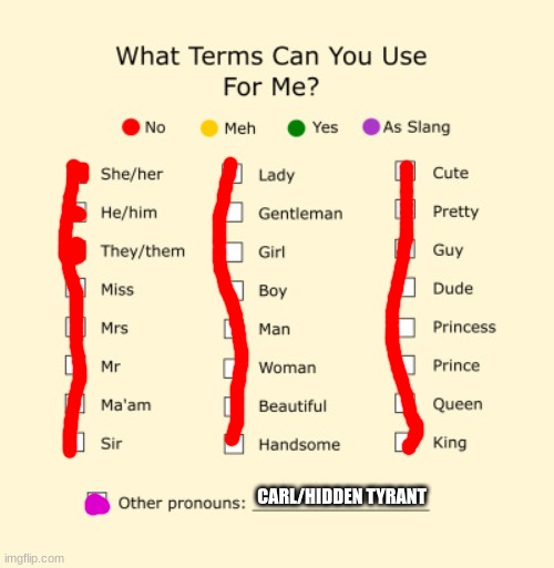 none of them fit me,use the one in the bottom. | CARL/HIDDEN TYRANT | image tagged in pronouns sheet | made w/ Imgflip meme maker