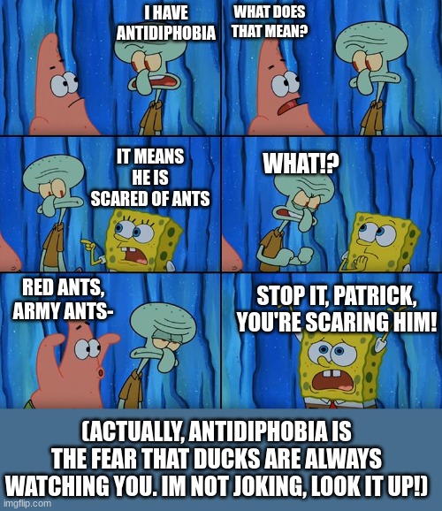 Stop it, Patrick! You're Scaring Him! | I HAVE ANTIDIPHOBIA; WHAT DOES THAT MEAN? WHAT!? IT MEANS HE IS SCARED OF ANTS; RED ANTS, ARMY ANTS-; STOP IT, PATRICK, YOU'RE SCARING HIM! (ACTUALLY, ANTIDIPHOBIA IS THE FEAR THAT DUCKS ARE ALWAYS WATCHING YOU. IM NOT JOKING, LOOK IT UP!) | image tagged in stop it patrick you're scaring him | made w/ Imgflip meme maker