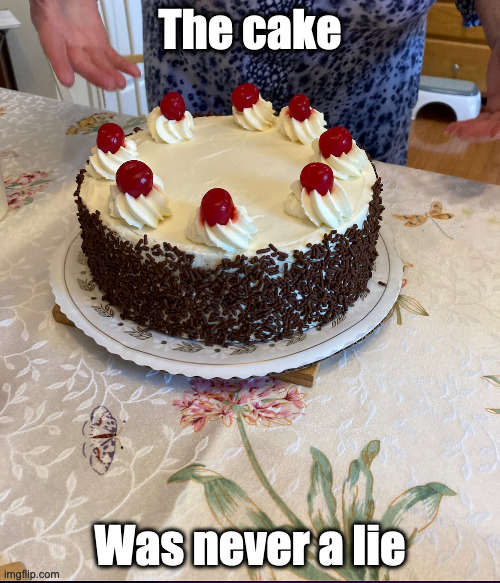 The cake was never a lie | The cake; Was never a lie | image tagged in the cake is a lie | made w/ Imgflip meme maker