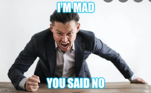 Bruh | I'M MAD; YOU SAID NO | image tagged in bruh | made w/ Imgflip meme maker