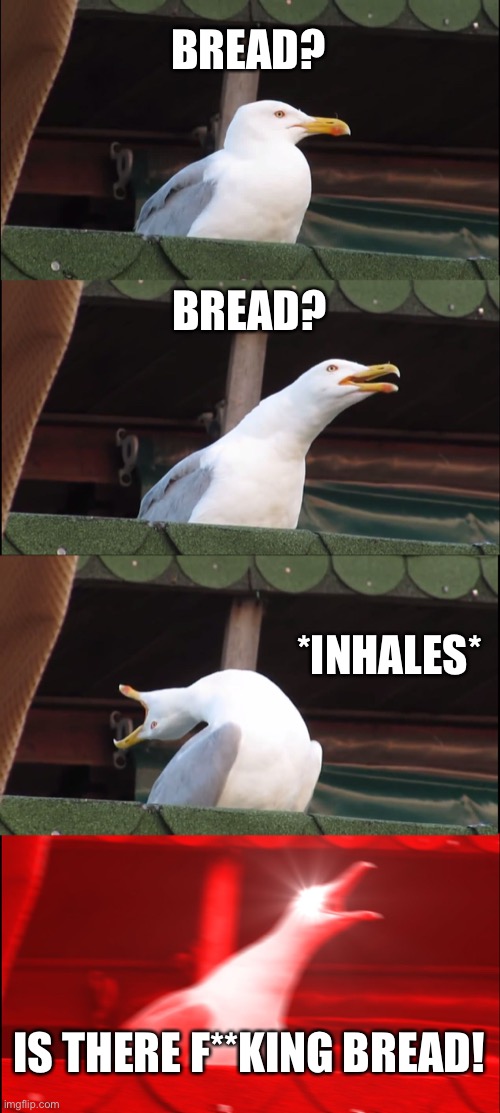 bread | BREAD? BREAD? *INHALES*; IS THERE F**KING BREAD! | image tagged in memes,inhaling seagull | made w/ Imgflip meme maker