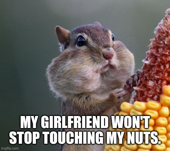 Thanksgiving Squirrel | MY GIRLFRIEND WON'T STOP TOUCHING MY NUTS. | image tagged in thanksgiving squirrel | made w/ Imgflip meme maker