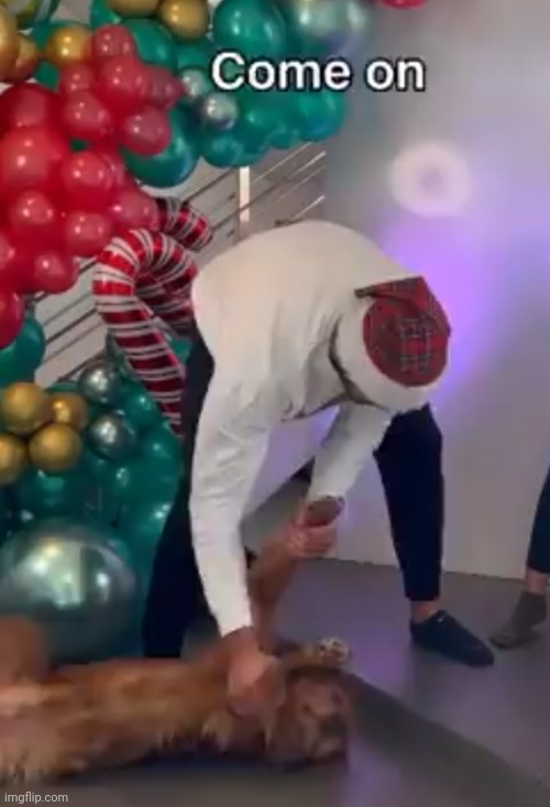 dog | made w/ Imgflip meme maker