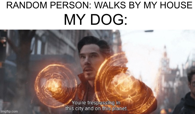 They bark at everything | RANDOM PERSON: WALKS BY MY HOUSE; MY DOG: | image tagged in avengers infinity war,doctor strange,dogs,you are trespassing in this city and on this planet | made w/ Imgflip meme maker