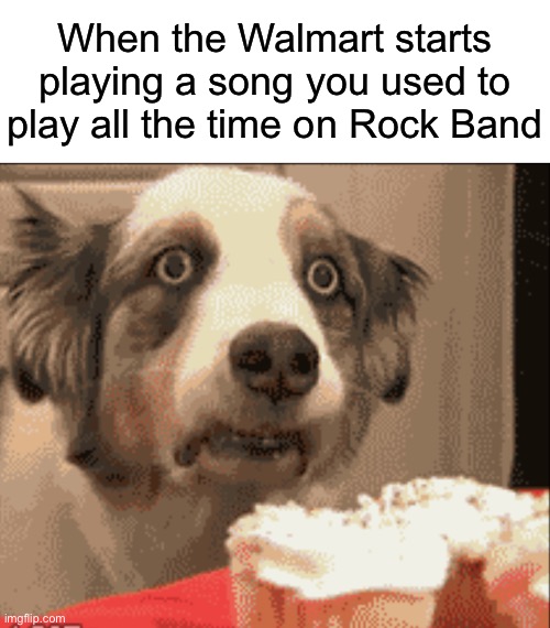 I have cringe owner syndrome | When the Walmart starts
playing a song you used to
play all the time on Rock Band | image tagged in ptsd dog | made w/ Imgflip meme maker