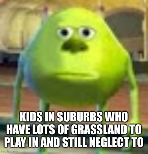 Sully Wazowski | KIDS IN SUBURBS WHO HAVE LOTS OF GRASSLAND TO PLAY IN AND STILL NEGLECT TO | image tagged in sully wazowski | made w/ Imgflip meme maker