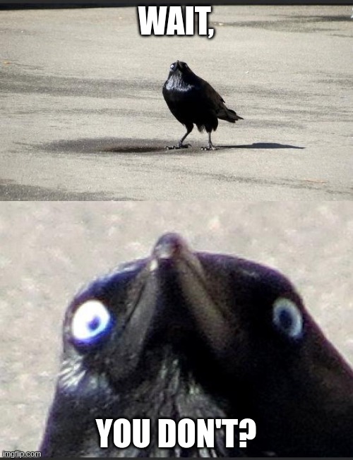 insanity crow | WAIT, YOU DON'T? | image tagged in insanity crow | made w/ Imgflip meme maker