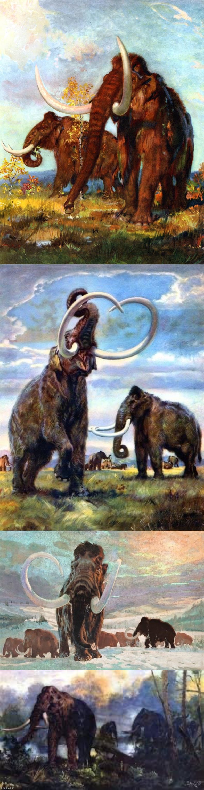 . | image tagged in woolly mammoths | made w/ Imgflip meme maker