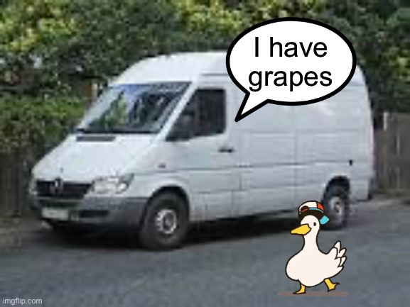 white van | I have grapes | image tagged in white van | made w/ Imgflip meme maker