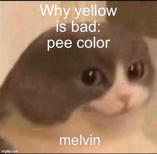 why white is bad::::::::::::::::::::::::::::::::::::::::::::::::::::::: snow color | Why yellow is bad: pee color | image tagged in melvin | made w/ Imgflip meme maker