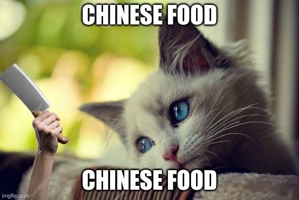 First World Problems Cat | CHINESE FOOD; CHINESE FOOD | image tagged in memes,first world problems cat | made w/ Imgflip meme maker