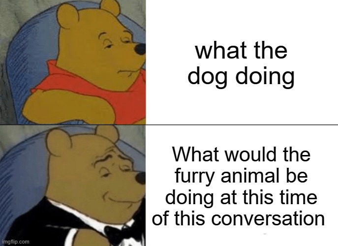 Tuxedo Winnie The Pooh | what the dog doing; What would the furry animal be doing at this time of this conversation | image tagged in memes,tuxedo winnie the pooh | made w/ Imgflip meme maker