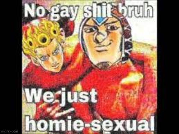 no gay shit only homie sexual | image tagged in no gay shit | made w/ Imgflip meme maker