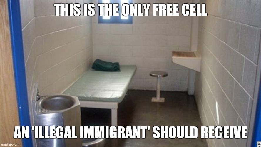 THIS IS THE ONLY FREE CELL AN 'ILLEGAL IMMIGRANT' SHOULD RECEIVE | made w/ Imgflip meme maker