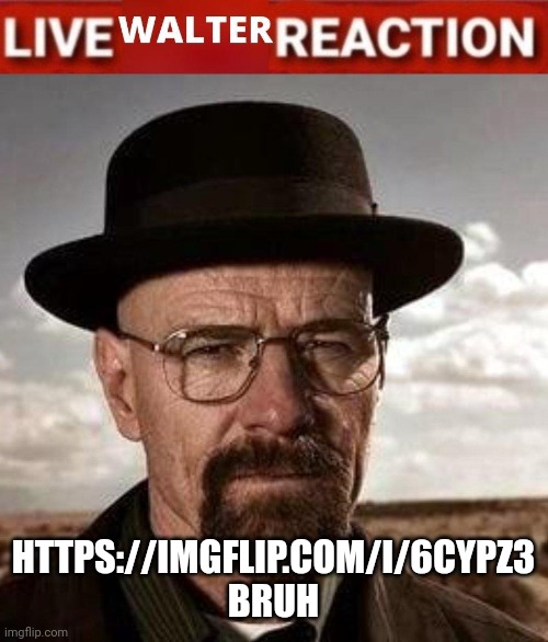 No | HTTPS://IMGFLIP.COM/I/6CYPZ3 BRUH | image tagged in live walter reaction | made w/ Imgflip meme maker