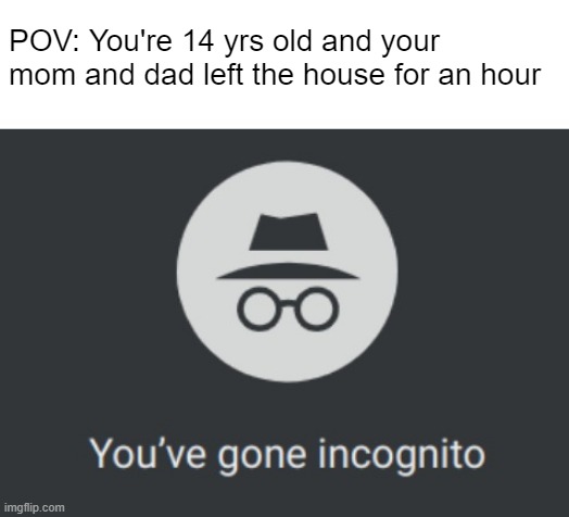 Incognito Momenito | POV: You're 14 yrs old and your mom and dad left the house for an hour | image tagged in you've gone incognito | made w/ Imgflip meme maker
