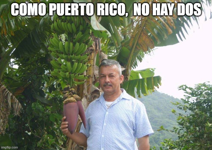 Puerto Rico | COMO PUERTO RICO,  NO HAY DOS | image tagged in puerto rico | made w/ Imgflip meme maker
