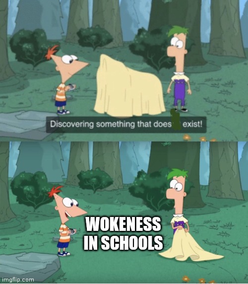 Discovering Something That Doesn’t Exist | WOKENESS IN SCHOOLS | image tagged in discovering something that doesn t exist | made w/ Imgflip meme maker