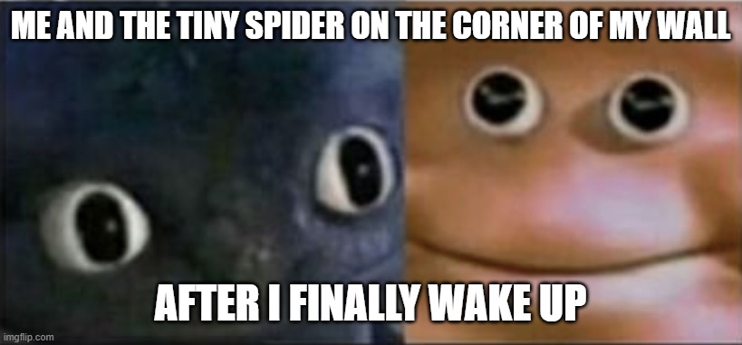 Me And The Spider Are Having A Staring Contest Please Do Not Disturb | ME AND THE TINY SPIDER ON THE CORNER OF MY WALL; AFTER I FINALLY WAKE UP | image tagged in blank stare dragon,memes,spiders,me when,mornings,staring contest | made w/ Imgflip meme maker