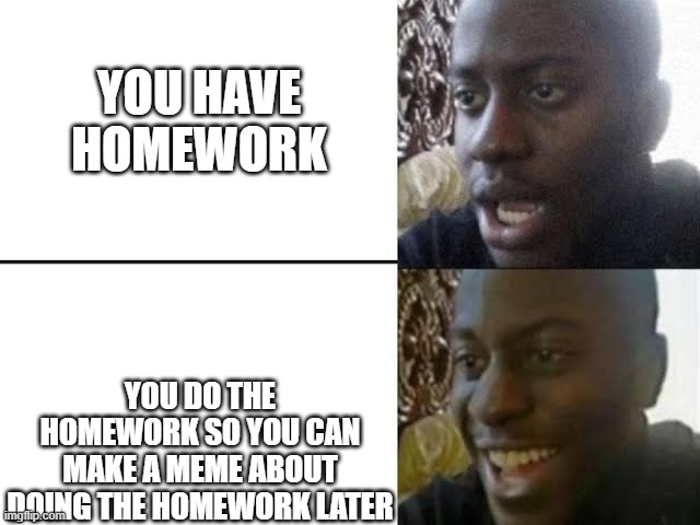 Doing The Homework | YOU HAVE HOMEWORK; YOU DO THE HOMEWORK SO YOU CAN MAKE A MEME ABOUT DOING THE HOMEWORK LATER | image tagged in disappointed guy,homework,making memes,memes,struggle,funny | made w/ Imgflip meme maker