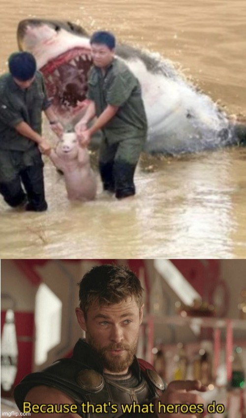 Pig | image tagged in that s what heroes do,comment section,comments,comment,memes,pig | made w/ Imgflip meme maker