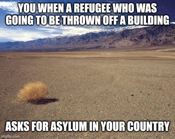 desert tumbleweed | YOU WHEN A REFUGEE WHO WAS GOING TO BE THROWN OFF A BUILDING ASKS FOR ASYLUM IN YOUR COUNTRY | image tagged in desert tumbleweed | made w/ Imgflip meme maker