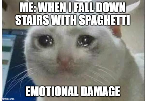Poor cat. | ME: WHEN I FALL DOWN STAIRS WITH SPAGHETTI; EMOTIONAL DAMAGE | image tagged in crying cat | made w/ Imgflip meme maker