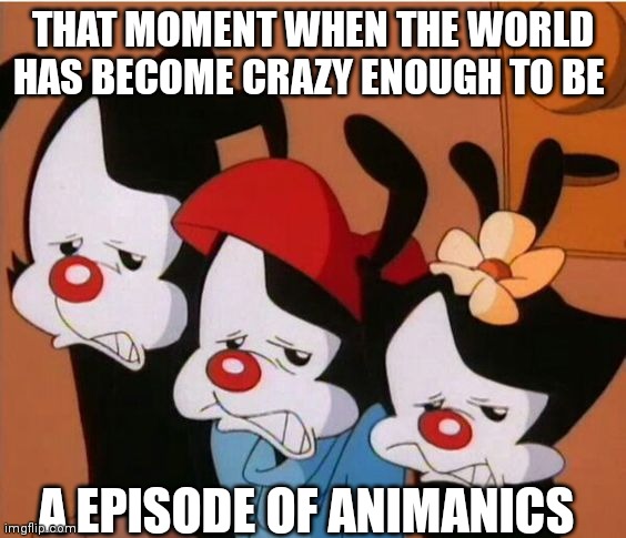 Animaniacs: Be Afraid | THAT MOMENT WHEN THE WORLD HAS BECOME CRAZY ENOUGH TO BE; A EPISODE OF ANIMANICS | image tagged in animaniacs be afraid | made w/ Imgflip meme maker