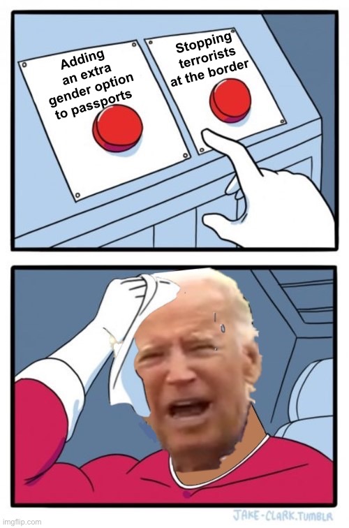 Decisions Decisions | Adding an extra gender option to passports; Stopping terrorists at the border | image tagged in two buttons,joe biden,politics lol | made w/ Imgflip meme maker