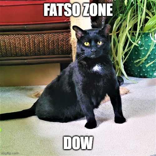 oreily outo zone | FATSO ZONE; DOW | image tagged in fatso zone | made w/ Imgflip meme maker