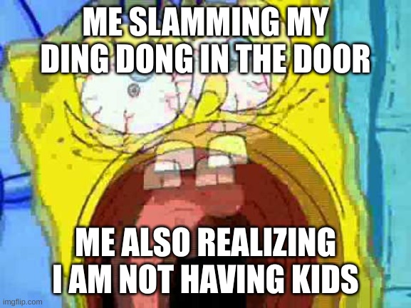 Spongebob Screaming | ME SLAMMING MY DING DONG IN THE DOOR; ME ALSO REALIZING I AM NOT HAVING KIDS | image tagged in spongebob screaming | made w/ Imgflip meme maker