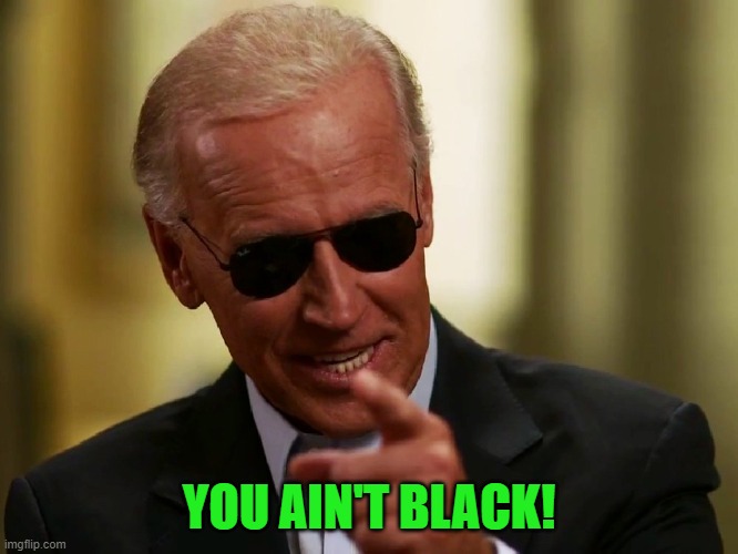 Cool Joe Biden | YOU AIN'T BLACK! | image tagged in cool joe biden | made w/ Imgflip meme maker