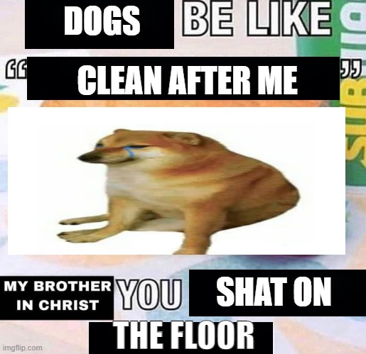 funny meme |  DOGS; CLEAN AFTER ME; SHAT ON; THE FLOOR | image tagged in you made the sandwich,memes,dogs,oh wow are you actually reading these tags | made w/ Imgflip meme maker