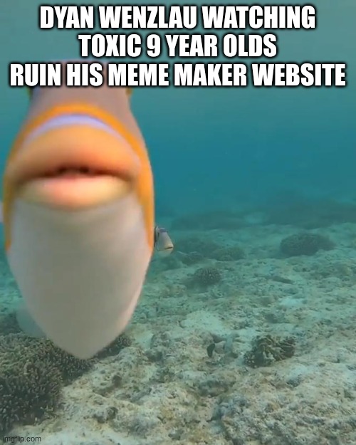 staring fish | DYAN WENZLAU WATCHING TOXIC 9 YEAR OLDS RUIN HIS MEME MAKER WEBSITE | image tagged in staring fish | made w/ Imgflip meme maker