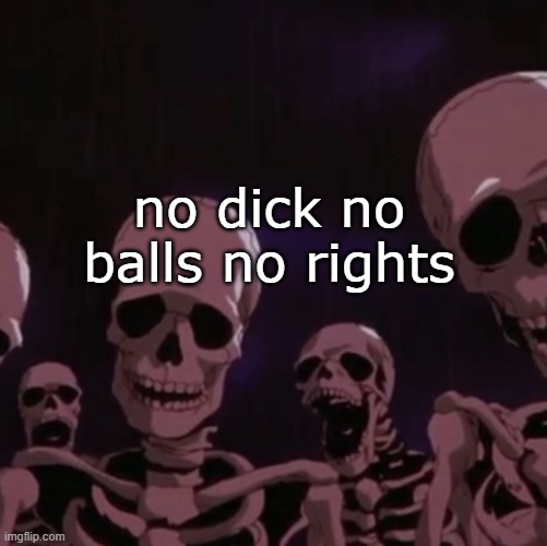 roasting skeletons | no dick no balls no rights | image tagged in roasting skeletons | made w/ Imgflip meme maker