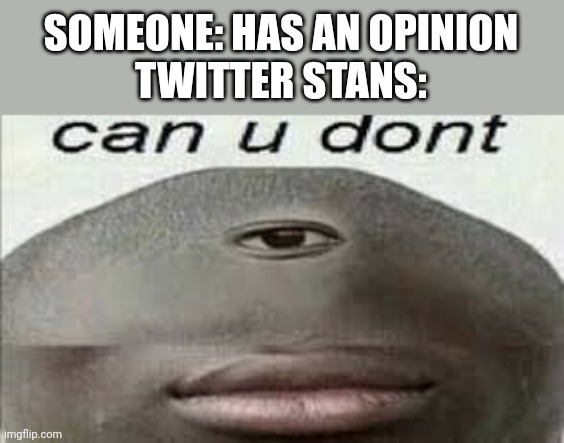 No words at all | SOMEONE: HAS AN OPINION
TWITTER STANS: | image tagged in can you dont,twitter sucks | made w/ Imgflip meme maker