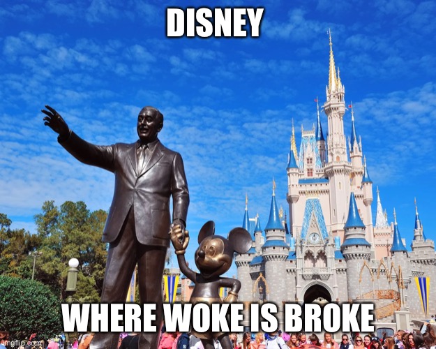 Disney | DISNEY; WHERE WOKE IS BROKE | image tagged in disney,fun,woke,karren | made w/ Imgflip meme maker
