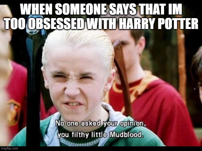 Draco Malfoy | WHEN SOMEONE SAYS THAT IM TOO OBSESSED WITH HARRY POTTER | image tagged in draco malfoy | made w/ Imgflip meme maker