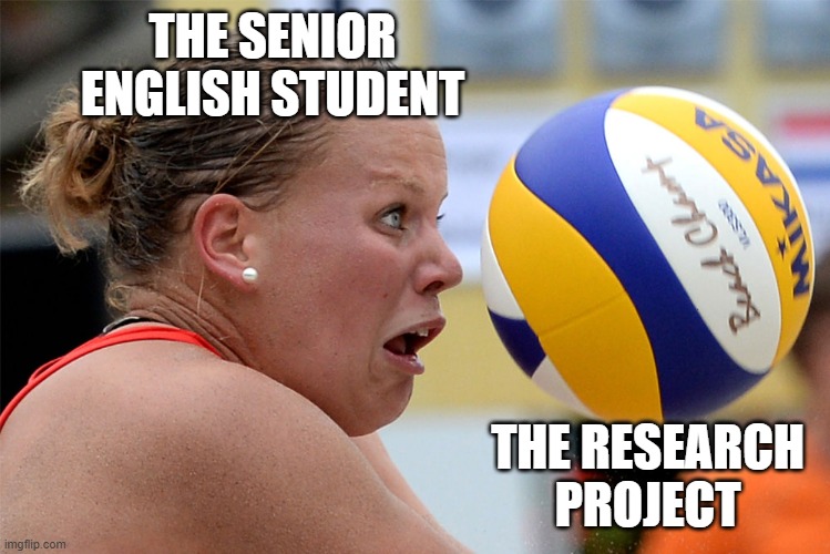 facetime |  THE SENIOR ENGLISH STUDENT; THE RESEARCH PROJECT | image tagged in facetime | made w/ Imgflip meme maker