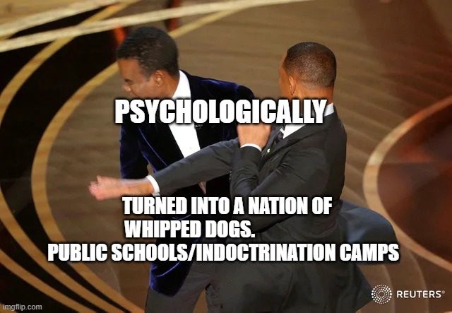 Will Smith punching Chris Rock | PSYCHOLOGICALLY; TURNED INTO A NATION OF WHIPPED DOGS.                    
 PUBLIC SCHOOLS/INDOCTRINATION CAMPS | image tagged in will smith punching chris rock | made w/ Imgflip meme maker
