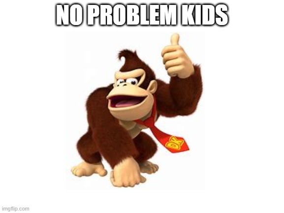 Blank White Template | NO PROBLEM KIDS | image tagged in blank white template | made w/ Imgflip meme maker