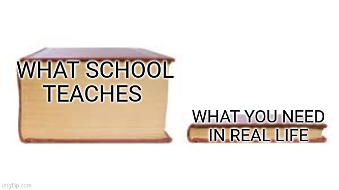 Nothing has really changed | WHAT SCHOOL TEACHES; WHAT YOU NEED IN REAL LIFE | image tagged in big book small book | made w/ Imgflip meme maker