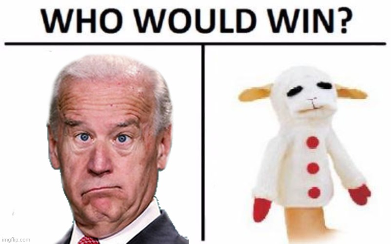 Who Would Win? | image tagged in memes,who would win | made w/ Imgflip meme maker