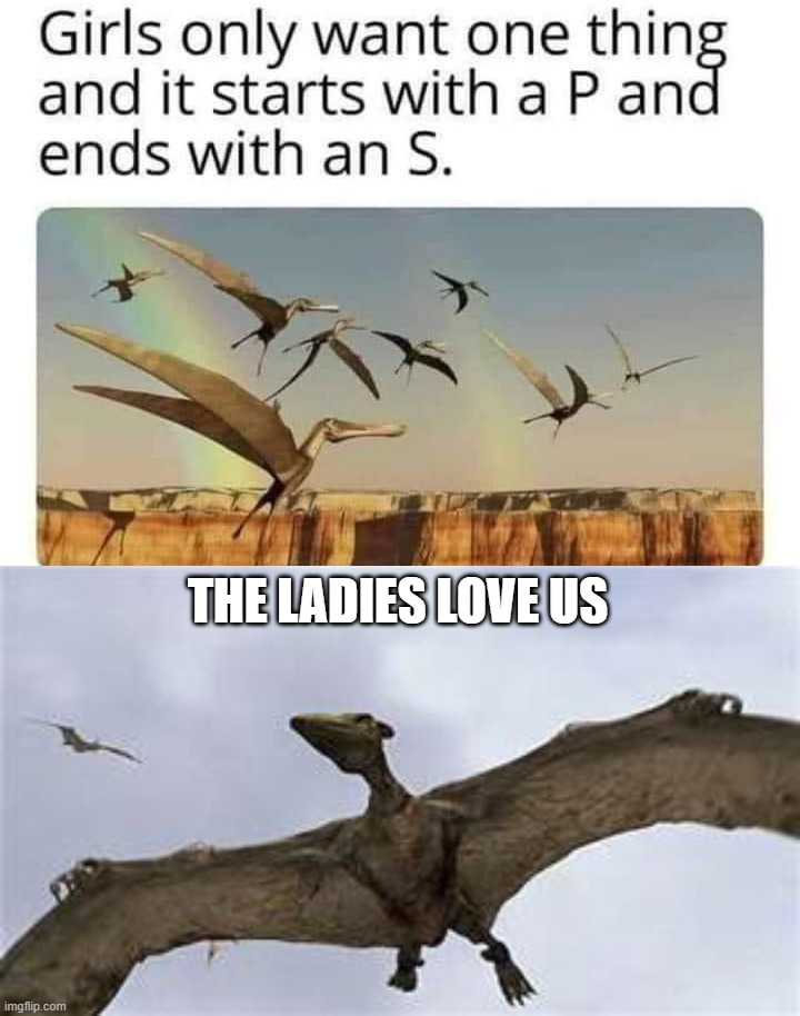 Pterodactyls | THE LADIES LOVE US | image tagged in pterodactyls | made w/ Imgflip meme maker